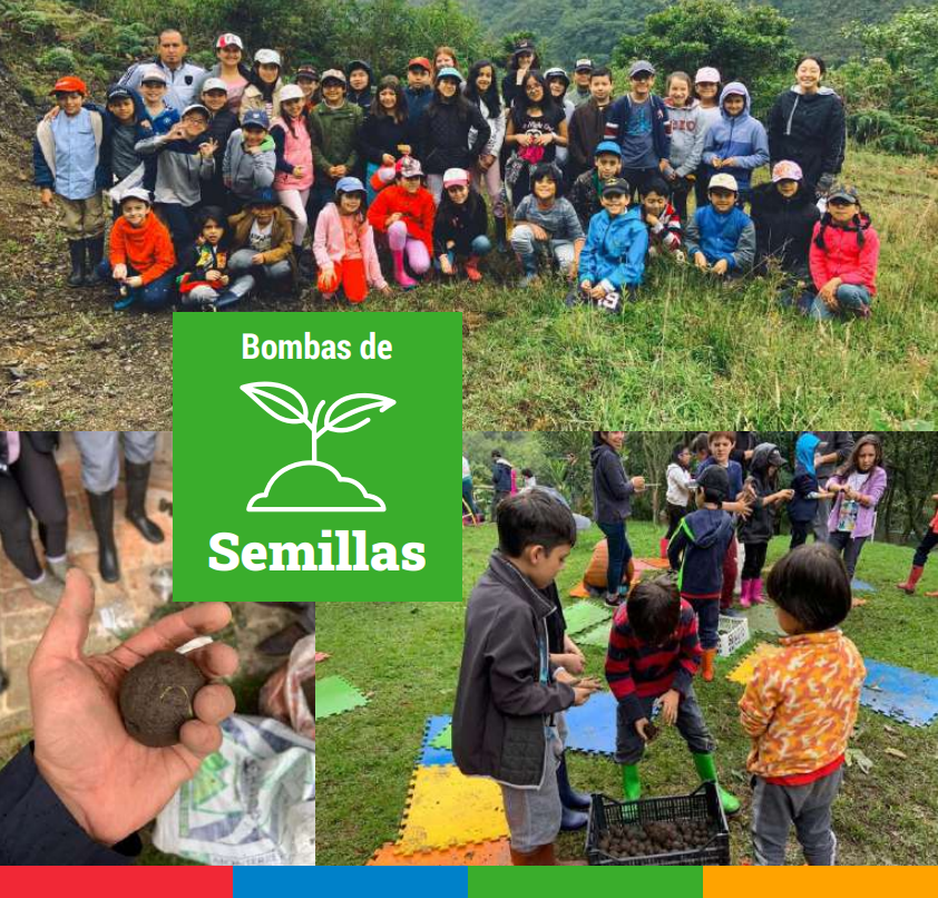 Iniciativa Bombas de semillas