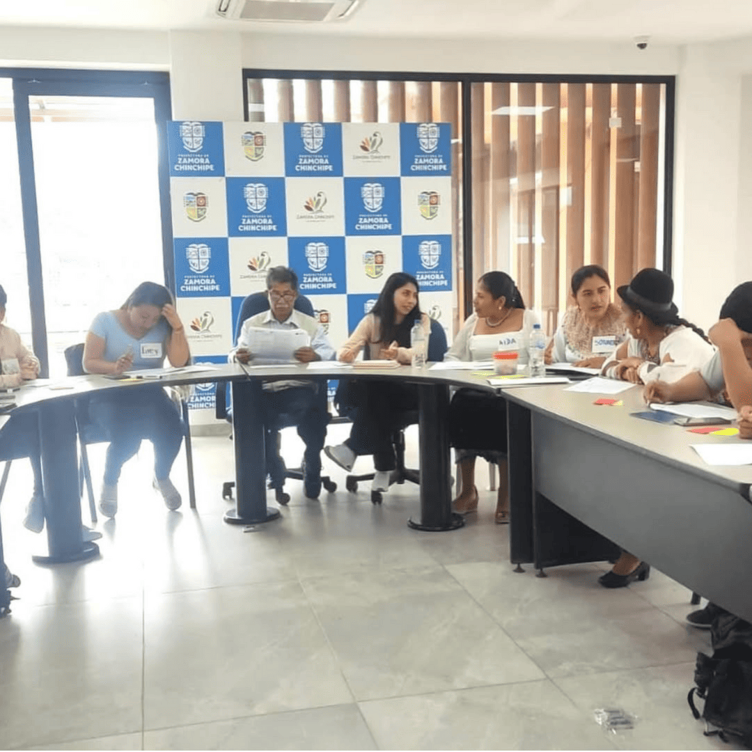 docentes